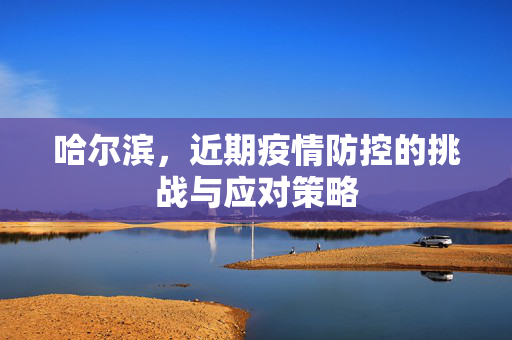 哈尔滨，近期疫情防控的挑战与应对策略