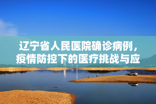 辽宁省人民医院确诊病例，疫情防控下的医疗挑战与应对策略
