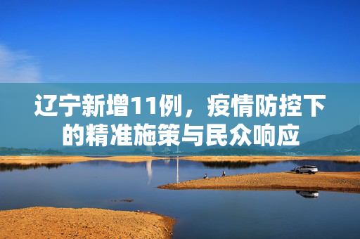 辽宁新增11例，疫情防控下的精准施策与民众响应