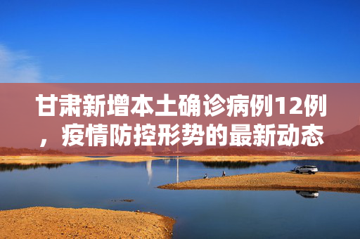 甘肃新增本土确诊病例12例，疫情防控形势的最新动态与应对策略