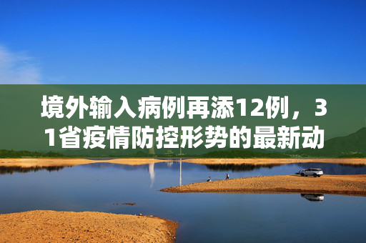 境外输入病例再添12例，31省疫情防控形势的最新动态与挑战