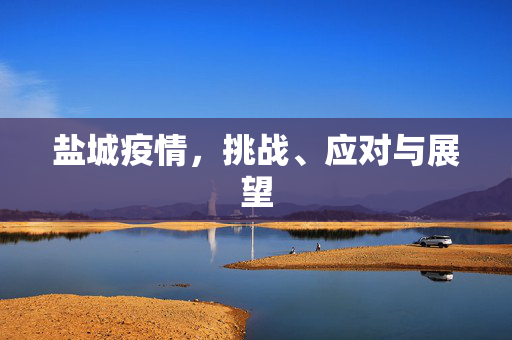盐城疫情，挑战、应对与展望