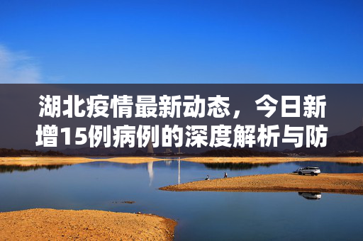 湖北疫情最新动态，今日新增15例病例的深度解析与防控展望
