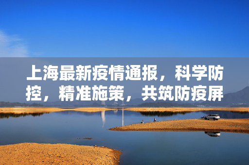 上海最新疫情通报，科学防控，精准施策，共筑防疫屏障