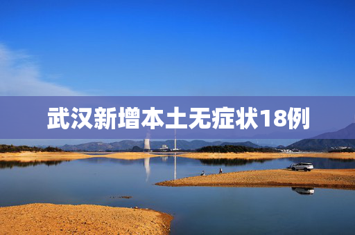武汉新增本土无症状18例