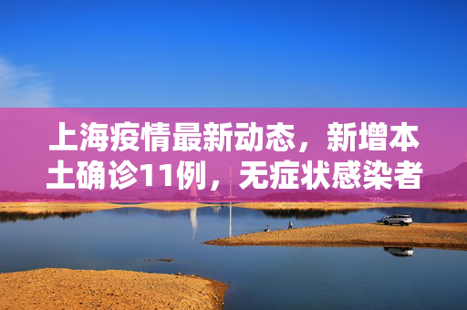 上海疫情最新动态，新增本土确诊11例，无症状感染者增至64例——疫情防控下的城市韧性与行动