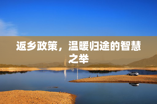 返乡政策，温暖归途的智慧之举