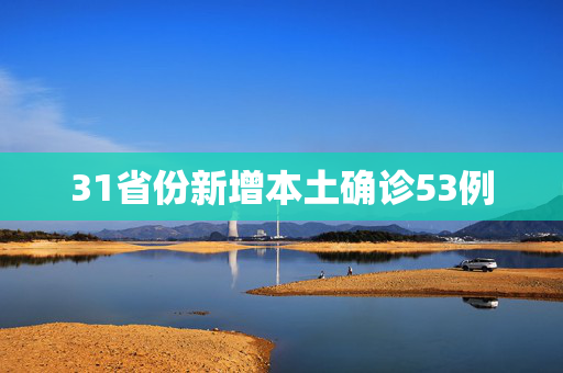 31省份新增本土确诊53例