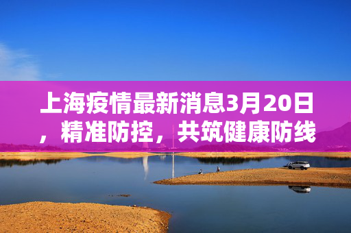 上海疫情最新消息3月20日，精准防控，共筑健康防线