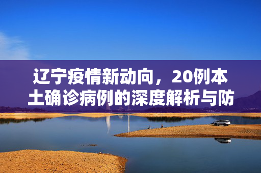 辽宁疫情新动向，20例本土确诊病例的深度解析与防控策略