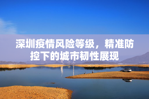 深圳疫情风险等级，精准防控下的城市韧性展现