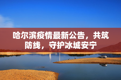 哈尔滨疫情最新公告，共筑防线，守护冰城安宁