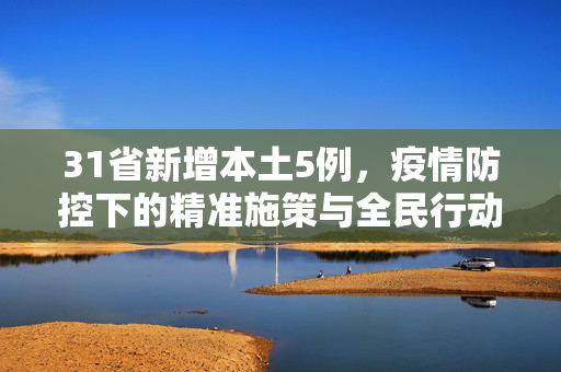 31省新增本土5例，疫情防控下的精准施策与全民行动