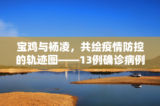 宝鸡与杨凌，共绘疫情防控的轨迹图——13例确诊病例深度剖析