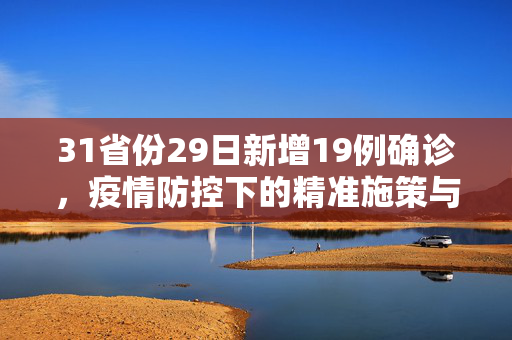 31省份29日新增19例确诊，疫情防控下的精准施策与全民行动