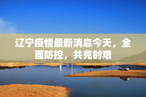 辽宁疫情最新消息今天，全面防控，共克时艰