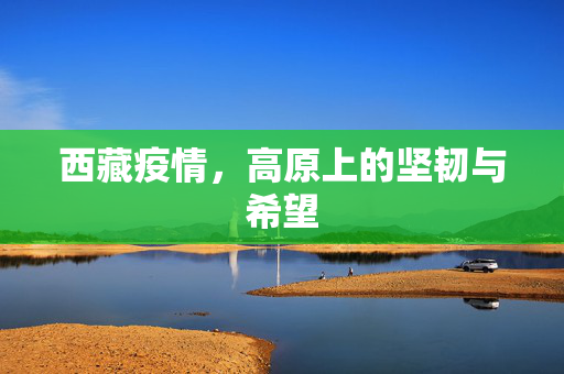 西藏疫情，高原上的坚韧与希望