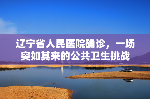 辽宁省人民医院确诊，一场突如其来的公共卫生挑战