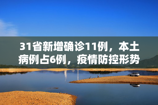 31省新增确诊11例，本土病例占6例，疫情防控形势再引关注