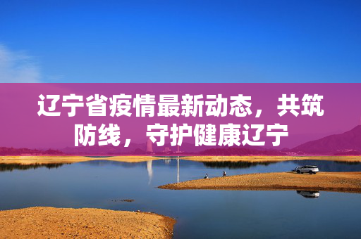 辽宁省疫情最新动态，共筑防线，守护健康辽宁