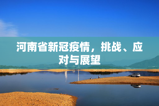 河南省新冠疫情，挑战、应对与展望