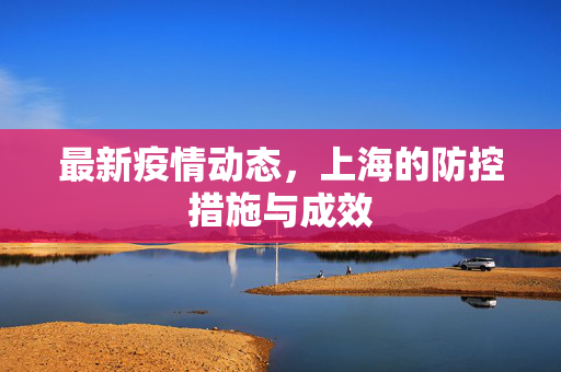 最新疫情动态，上海的防控措施与成效