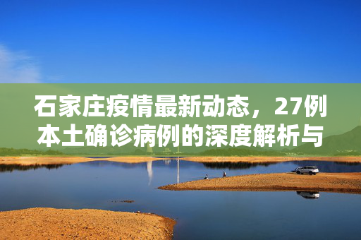 石家庄疫情最新动态，27例本土确诊病例的深度解析与防控措施