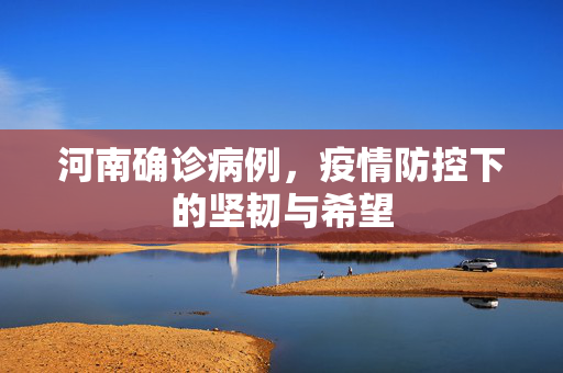 河南确诊病例，疫情防控下的坚韧与希望