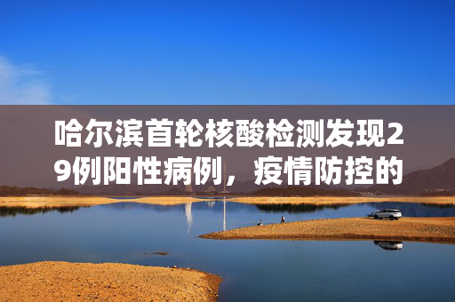 哈尔滨首轮核酸检测发现29例阳性病例，疫情防控的挑战与应对