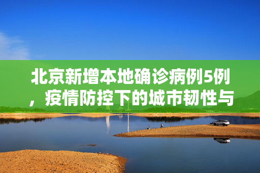 北京新增本地确诊病例5例，疫情防控下的城市韧性与行动