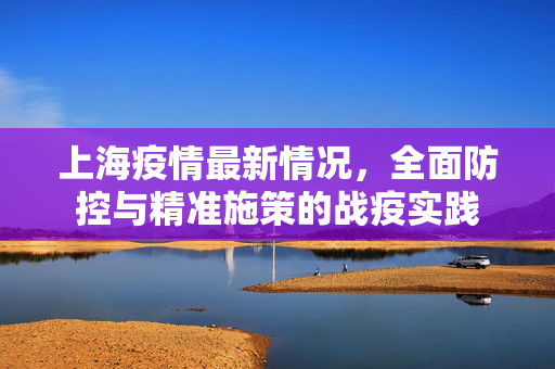 上海疫情最新情况，全面防控与精准施策的战疫实践