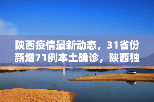 陕西疫情最新动态，31省份新增71例本土确诊，陕西独占63例——疫情防控形势分析与应对策略