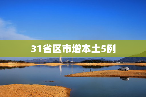 31省区市增本土5例