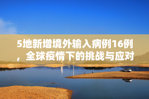 5地新增境外输入病例16例，全球疫情下的挑战与应对策略