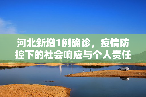 河北新增1例确诊，疫情防控下的社会响应与个人责任
