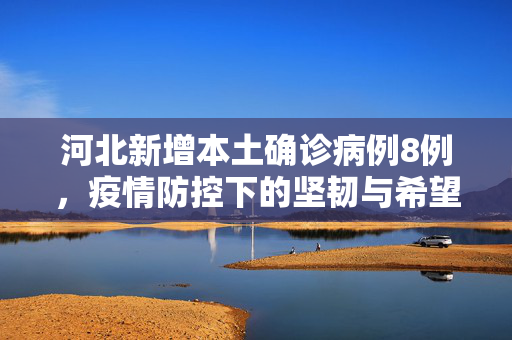 河北新增本土确诊病例8例，疫情防控下的坚韧与希望