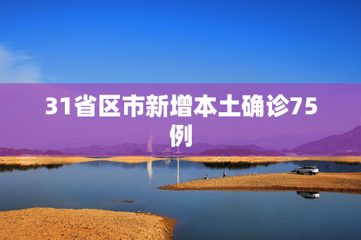 31省区市新增本土确诊75例