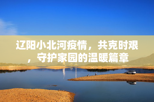 辽阳小北河疫情，共克时艰，守护家园的温暖篇章