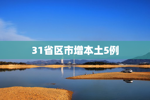 31省区市增本土5例