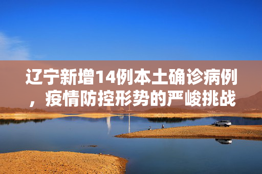 辽宁新增14例本土确诊病例，疫情防控形势的严峻挑战与应对策略