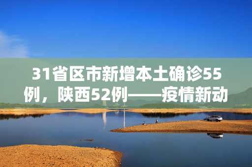31省区市新增本土确诊55例，陕西52例——疫情新动向与防控措施的再审视