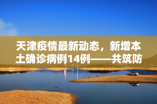 天津疫情最新动态，新增本土确诊病例14例——共筑防疫屏障，守护津门安宁