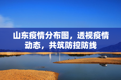 山东疫情分布图，透视疫情动态，共筑防控防线