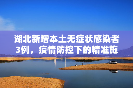 湖北新增本土无症状感染者3例，疫情防控下的精准施策与公众响应