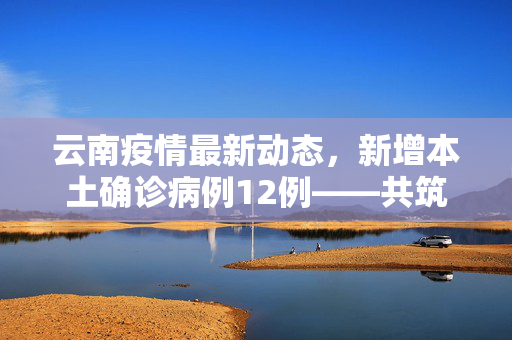 云南疫情最新动态，新增本土确诊病例12例——共筑防疫屏障，守护彩云之南