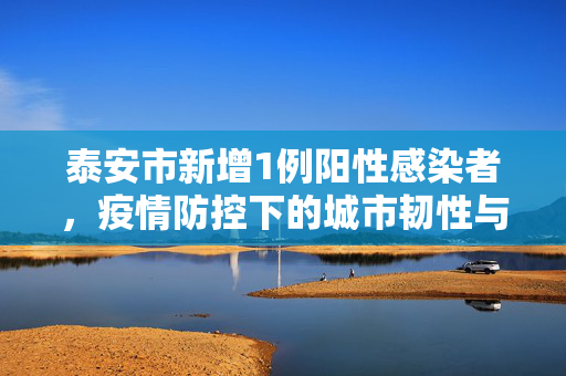 泰安市新增1例阳性感染者，疫情防控下的城市韧性与民众响应