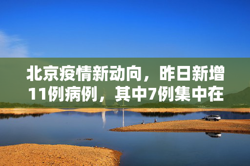 北京疫情新动向，昨日新增11例病例，其中7例集中在丰台区的深度剖析与应对策略