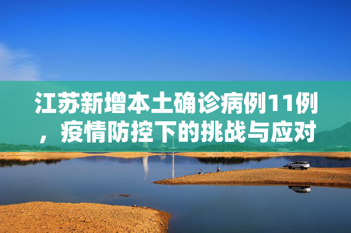 江苏新增本土确诊病例11例，疫情防控下的挑战与应对