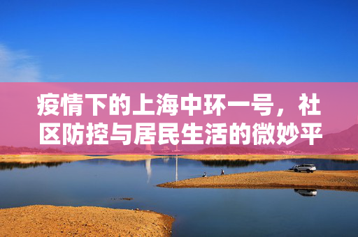 疫情下的上海中环一号，社区防控与居民生活的微妙平衡