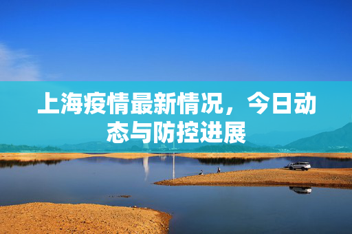 上海疫情最新情况，今日动态与防控进展